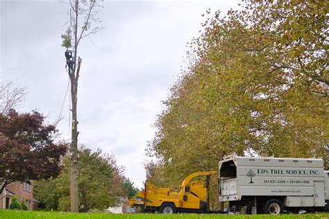 tree service gaithersburg